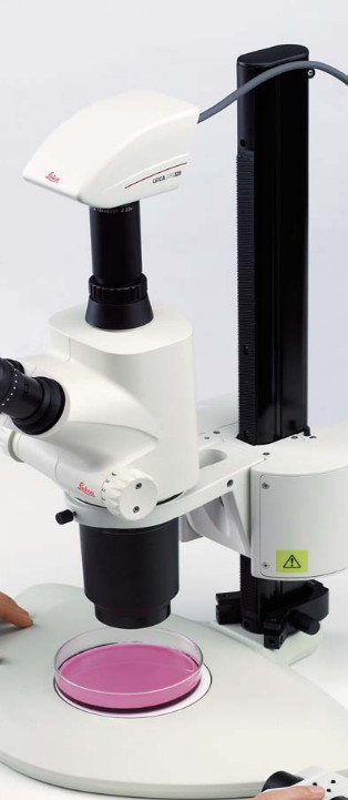 Stereomicroscopio Leica